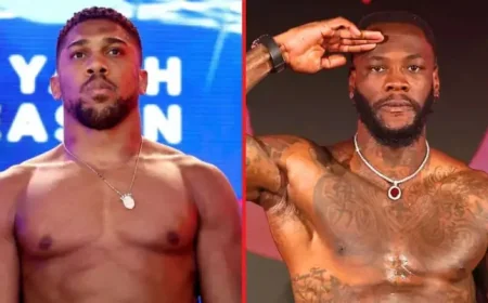 Anthony Joshua: David Haye backs him in possible Deontay Wilder clash