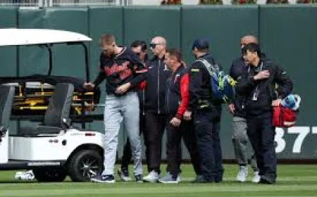 Riley Greene-Parker Meadows Collision Leaves Tigers Without Two Outfielders