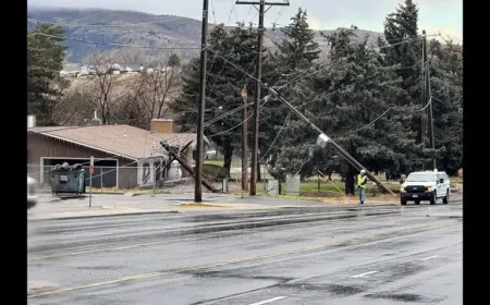 Emergency Management Agency: Trump’s disaster approvals reveal a widening gap between aid promises and pending requests