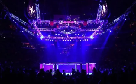 UFC 327: Procházka Triumphs Over Ulberg – Full Results