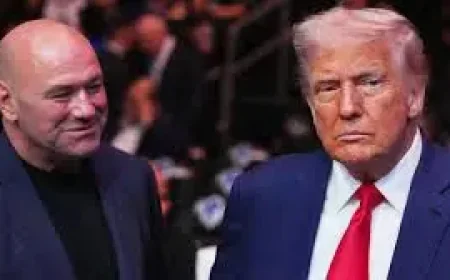 Trump’s Ufc Freedom 250 Reveals a White House Event Built on Spectacle and Contradiction