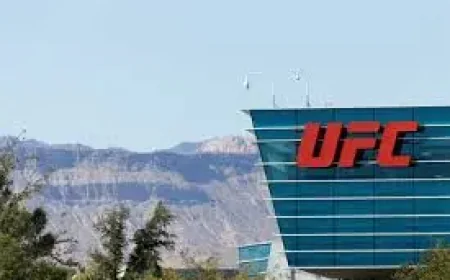 How Ufc Rankings Really Decide Who Is No. 1: 3 Truths Behind the Debate