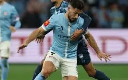 Melbourne City Fc Vs Wellington Phoenix: The Hidden Truth Behind a Match Built on Thin Public Detail