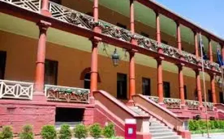 Opal Card Overhaul: A Million Commuters Gain Access, but the Real Shift Is Digital