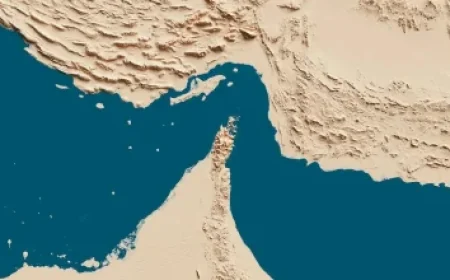 John Wilson Interviews Zohran Mamdani on NYC Scaffolding Video