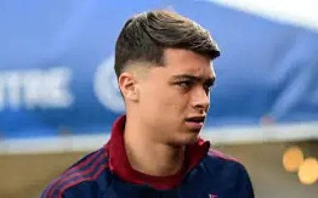 Six changes, one verdict: Crystal Palace Vs Newcastle and the pressure on Eddie Howe