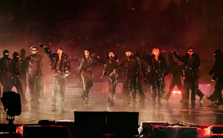 BTS Concert in Goyang: Identity and Connection Shine