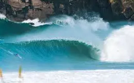 Cyclone Vaianu New Zealand: 5 urgent numbers behind the North Island emergency