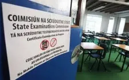 Leaving Cert Practical Exams Deferred: Fuel Costs Put School Transport on the Line