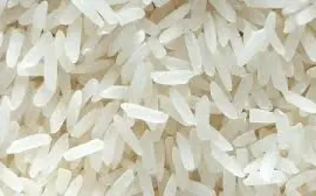 Lundberg White Rice Recall: 4,500 Cases Pulled Nationwide Over Possible Foreign Material