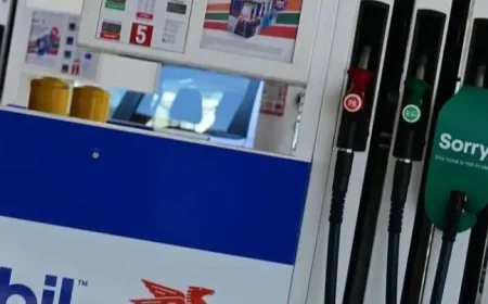 Australian Fuel Conservation Campaign: Why a $20 Million Message Is Dividing Canberra