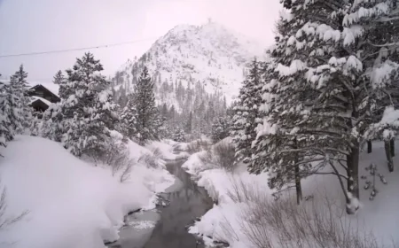 Winter Storm Warning Sierra Nevada Leaves Drivers Facing a Whiteout Test