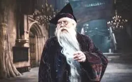 Hbo and the Next Streaming Inflection Point