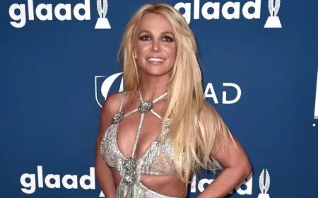 Britney Spears Enters Rehab Voluntarily After DUI Arrest