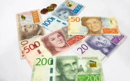 Pension Fund default strategy paid off for most Swedish savers, but 2025 broke the pattern