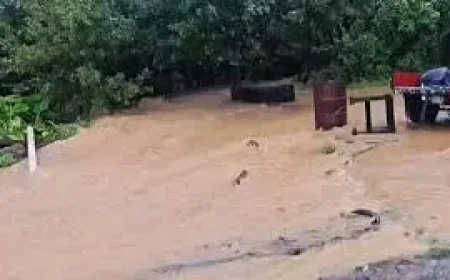 New Zealand Cyclone Vaianu Leaves Hundreds Evacuated as 130 km/h Winds Hit the North Island