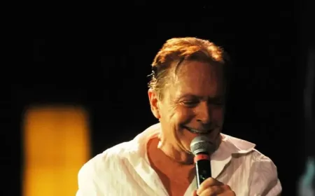 David Cassidy: 2 Surprising Net Worth Facts Behind the 76th Birthday Tribute