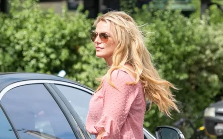 Britney Spears Voluntarily Enters Rehab Following DUI Arrest