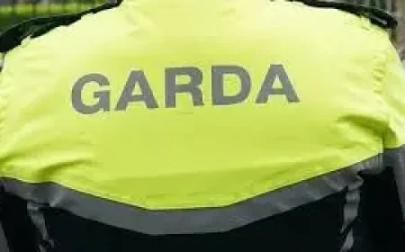 Grand Parade Protest Arrests: Five Detained After Cork Fuel Demonstration
