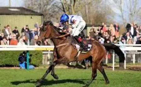 Scottish Grand National: 25 confirmations and 1 new topweight shake-up for Ayr