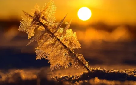 Software Stocks Surge After Long Neglect