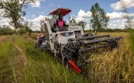 Farmer Costs Surge as Fuel Crisis Hits the South of England