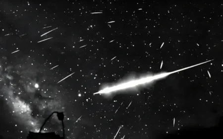 Asteroid Breakup Near the Sun Reveals 282 Meteors Crossing Earth’s Night Sky