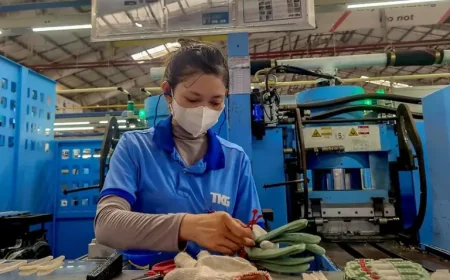 Roku turns a stock call into a test of confidence