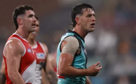 Butters fined $1500: 5 key takeaways from the umpire abuse verdict