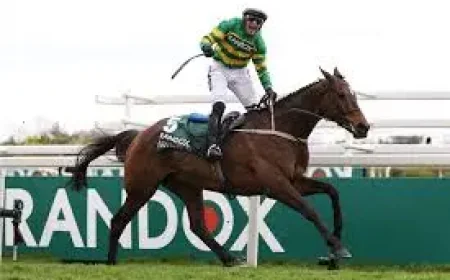 The Grand National and I Am Maximus: a history-making return at Aintree