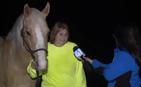 Kansas Tornadoes after the Monday Night Surge