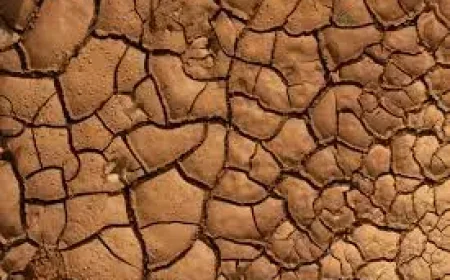 El Niño Weather: Why the ‘super’ label hides a fragile forecast