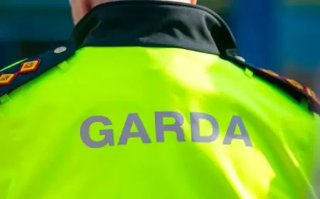 Gardai Seize Fuel Protest Trucks: Two Drivers Face Court Over Dangerous Driving in Co Louth