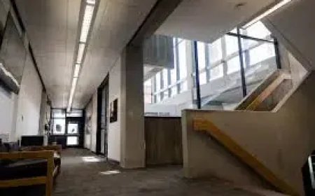 Hampshire College and the Human Cost of a Closure Years in the Making