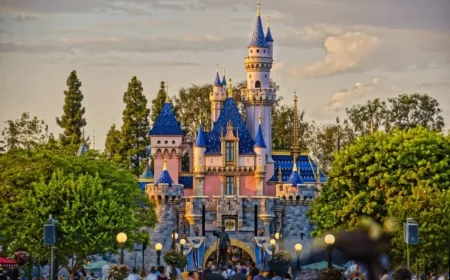 Video Captures Family Trying to Sneak Child Into Disneyland