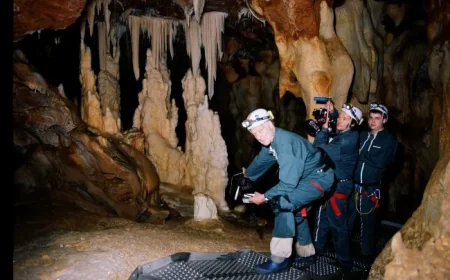 Werner Herzog Explores 3D and IMAX in ‘Cave of Forgotten Dreams’