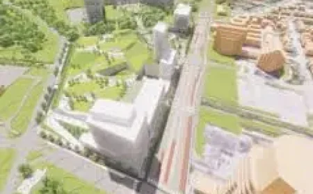 Bermuda cruise rerouted to New Brunswick, couple told to pack layers