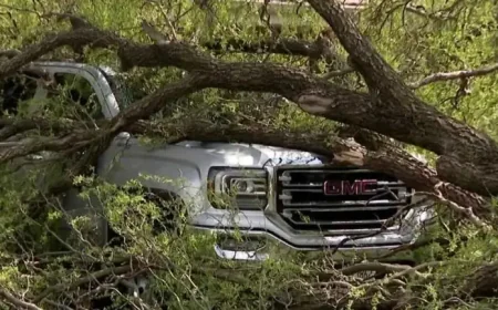 Milwaukee After Overnight Storm Damage: 30,000 Power Outages, Downed Trees and a County on Cleanup