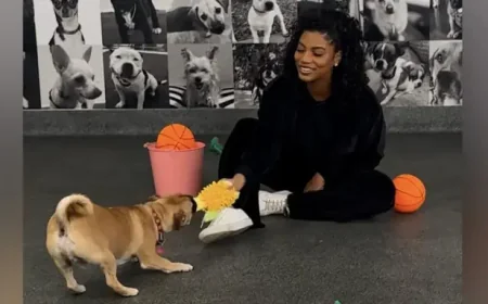 Taylor Rooks and the case for sports as the last monoculture