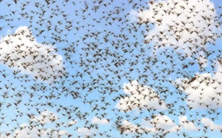 Microsoft Windows Faces Massive Patch Tuesday After Exploited SharePoint Bug