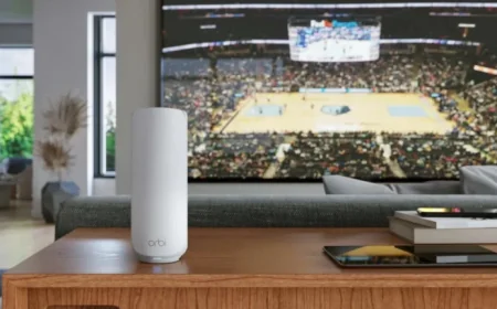 FCC Grants Netgear Exclusive Router Dominance in US Market