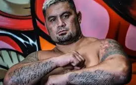Mark Hunt arrested on domestic violence charge after police call in north-east NSW