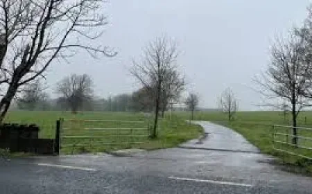 Dungarvan Shock: Man Charged After Fatal Farm Assault in Co Waterford