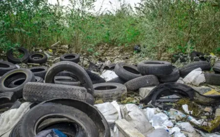 Beau Vine Waste Carrier License: 3-Second Approval Exposes a 2026 Fly-Tipping Flaw