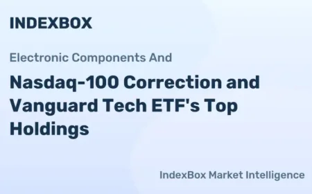 Vanguard ETF Questions Deepen as the Tech Selloff Exposes a Hidden Concentration Risk