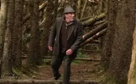 Liam Neeson thriller remake starts streaming free after mixed response