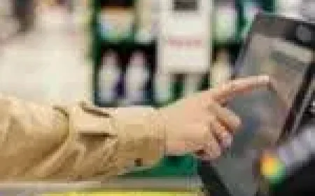 Allbirds as 2026 approaches: a pivot from footwear to AI infrastructure