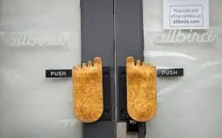 Allbirds and the Human Cost of a Brand Turning Toward AI Compute