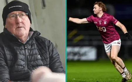 Tailteann Cup and the question of fairness after Limerick’s summer ends