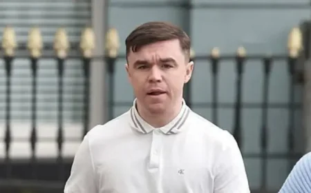 Leroy Harris Love Hate: A night in Dublin that turned into jail time